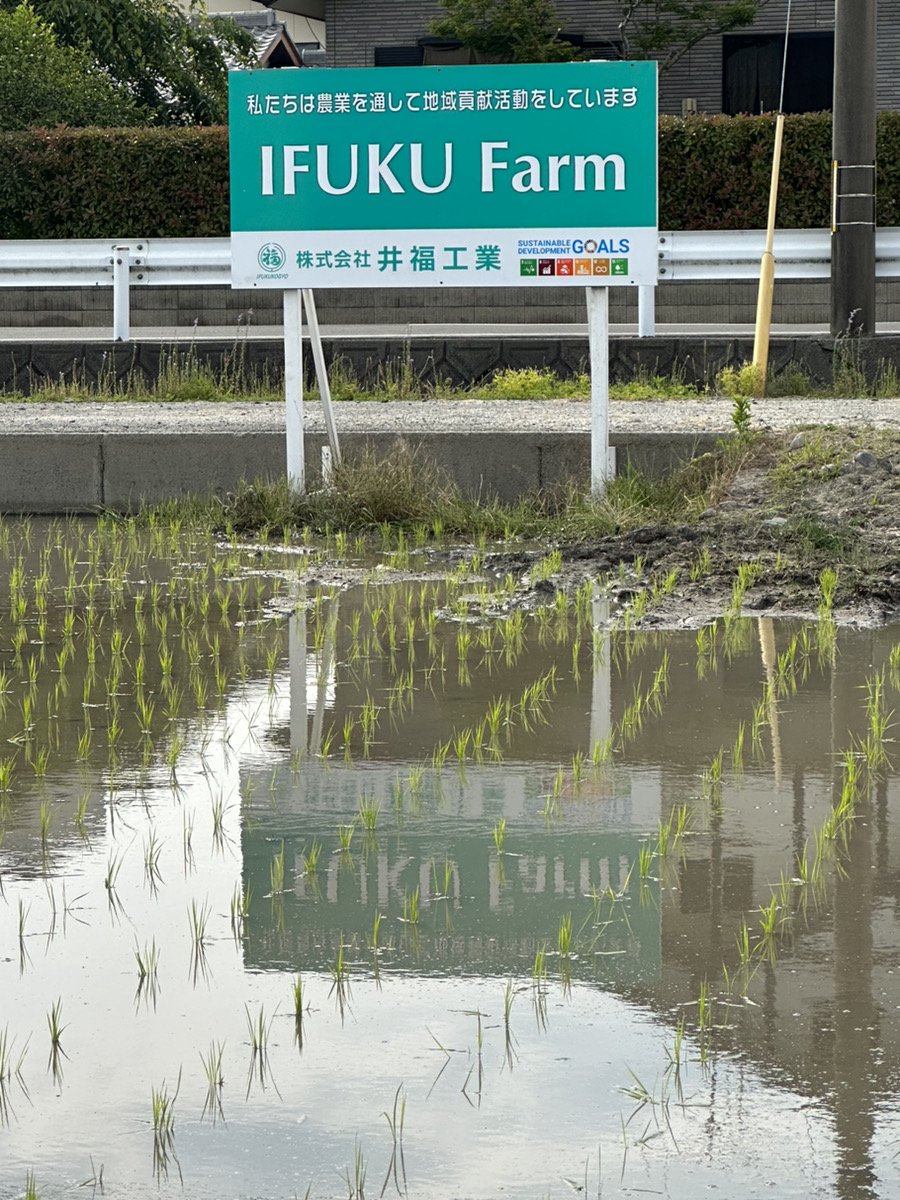 田植えを行いました!