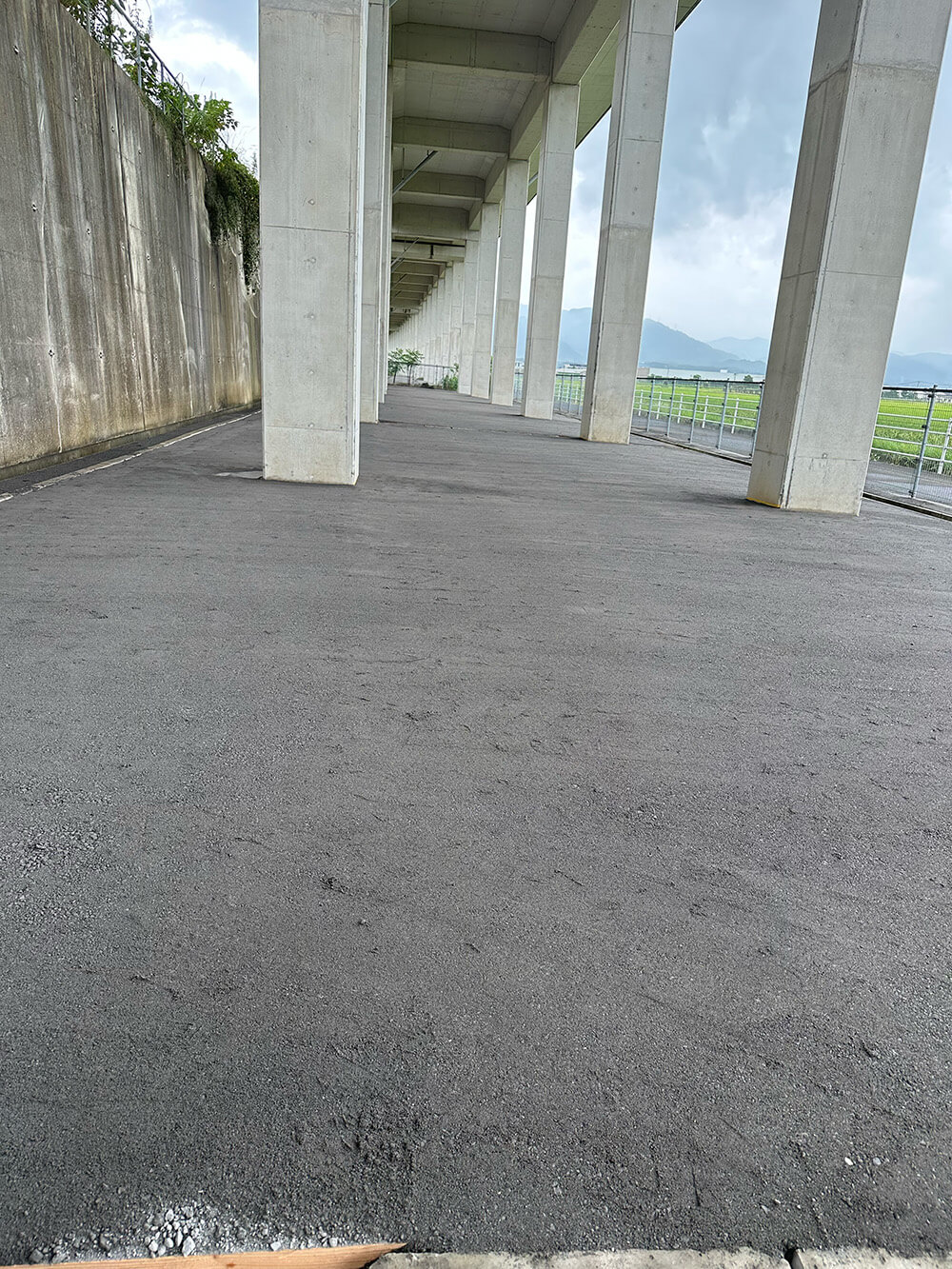 新水俣ー出水間高架下防草施工・カタマ施工